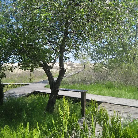 Sirena 3* Sunny Beach