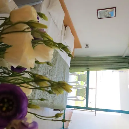 מלון Sirena Hotel