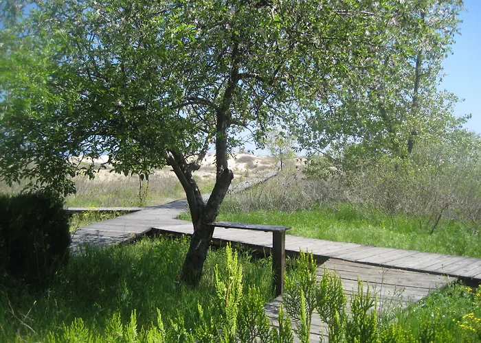 Arcadia * Slăntjev Brjag