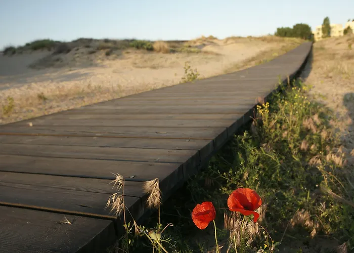 Arcadia Slăntjev Brjag