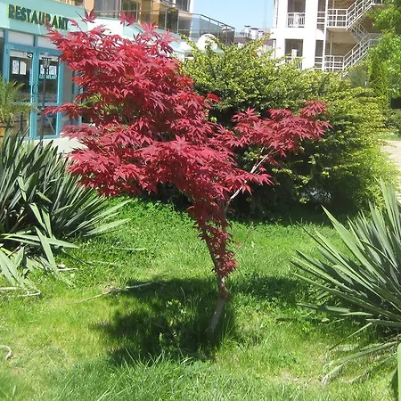 Sirena Hotel Hotel